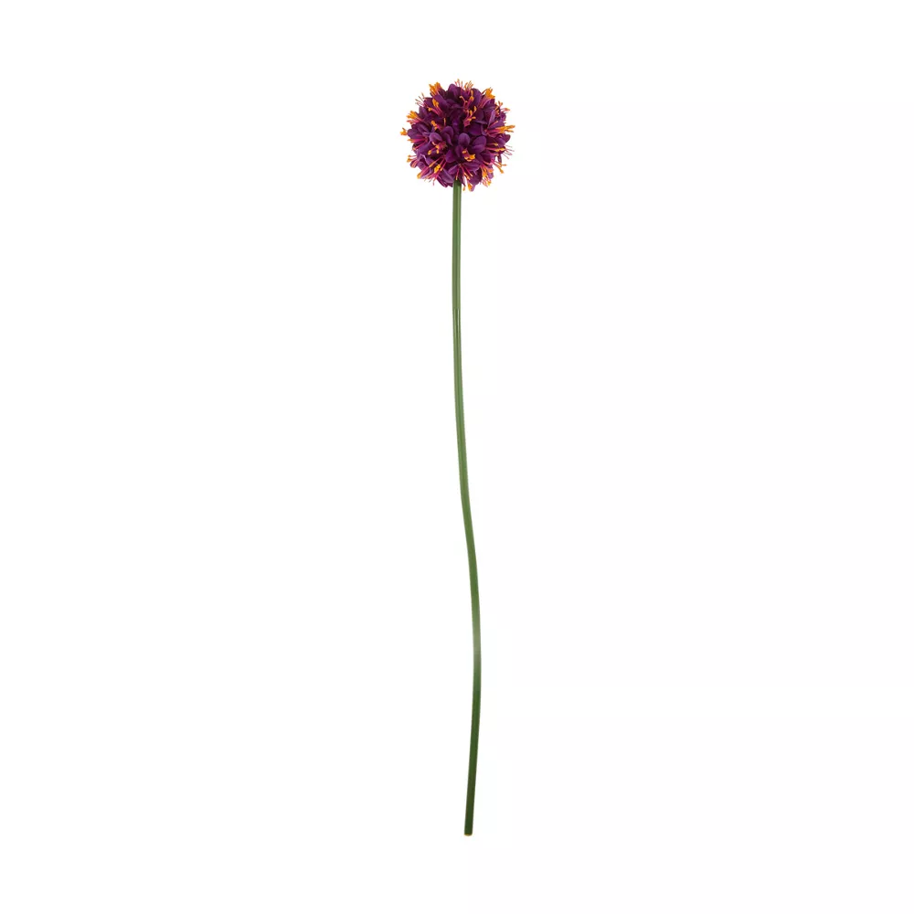 pop-37472303-1