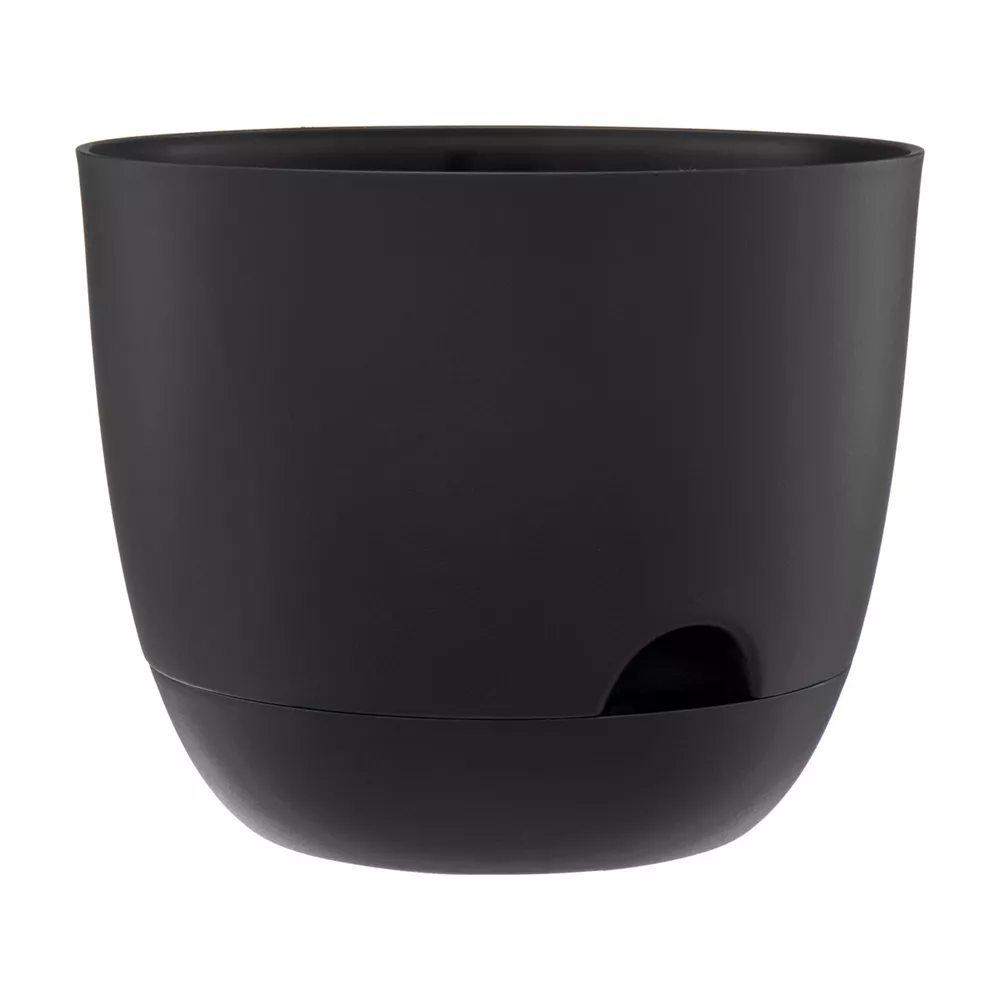 pop-42397301-1